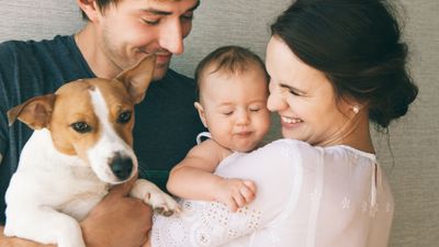 Family Health Insurance Plans Explained
